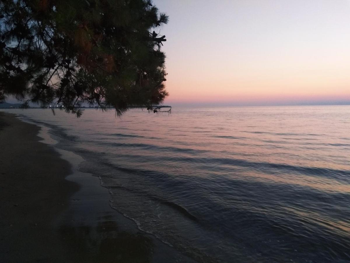 Chrisella Villa Skala Rachoni  Esterno foto