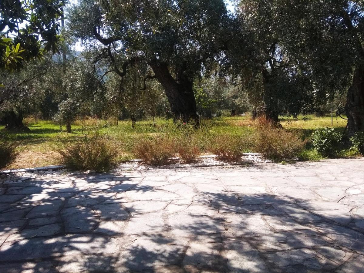 Chrisella Villa Skala Rachoni  Esterno foto