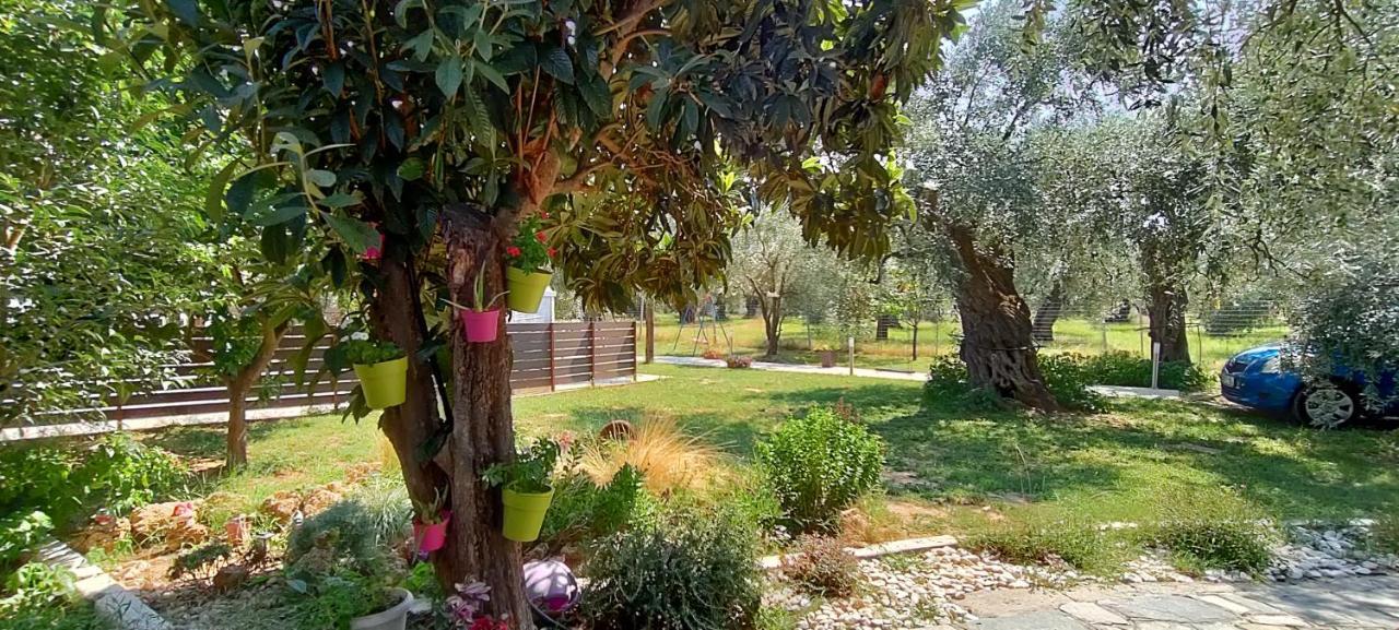 Chrisella Villa Skala Rachoni  Esterno foto