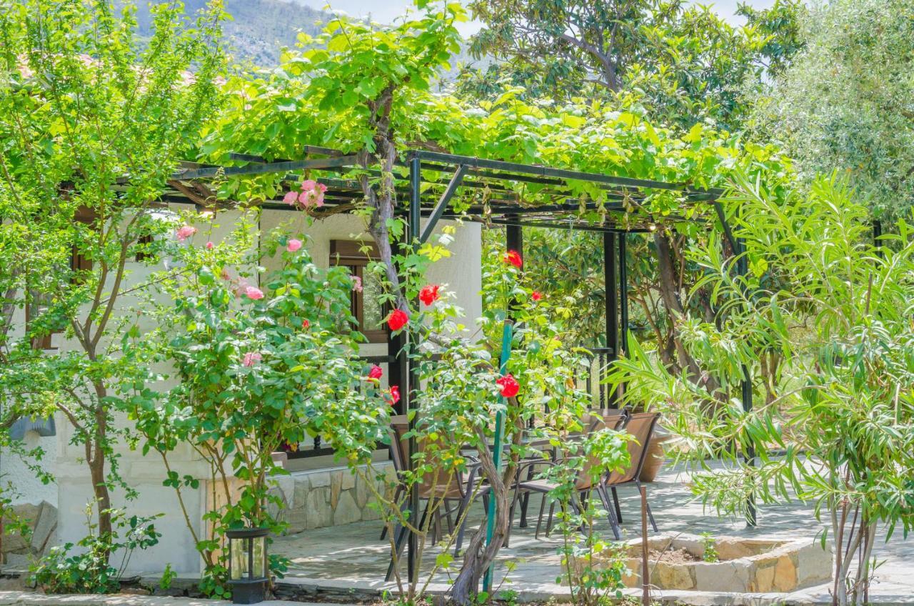 Chrisella Villa Skala Rachoni  Esterno foto